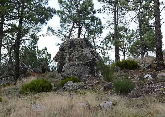 Terra Mista Local ベッド・アンド・ブレックファスト 3*